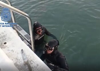 Carnicería en el Puerto de Estepona: agresión con hacha, machete y vísceras fuera