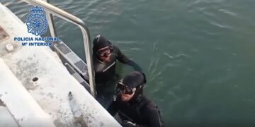 Carnicería en el Puerto de Estepona: agresión con hacha, machete y vísceras fuera