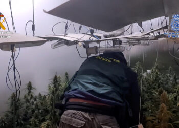 Desarticulada una banda dedicada al tráfico de estupefacientes desde España hasta Bélgica