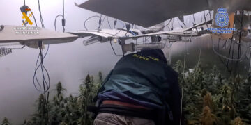 Desarticulada una banda dedicada al tráfico de estupefacientes desde España hasta Bélgica