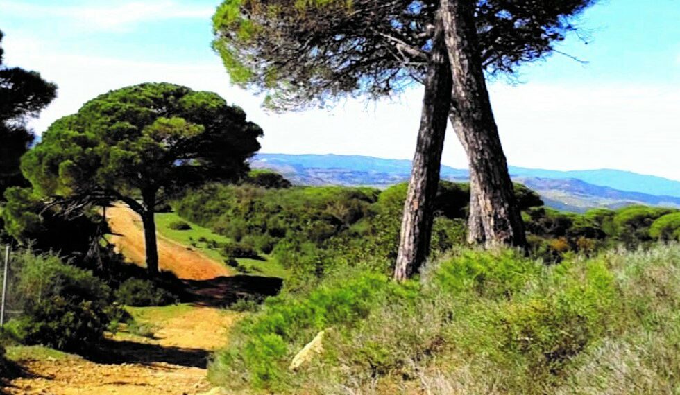Siete rutas para recorrer el entorno natural de Manilva