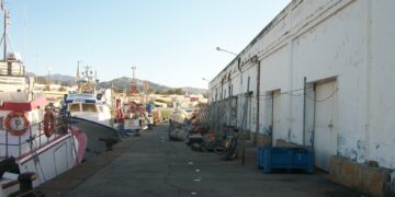 Las obras del puerto pesquero de Marbella empezarán en febrero