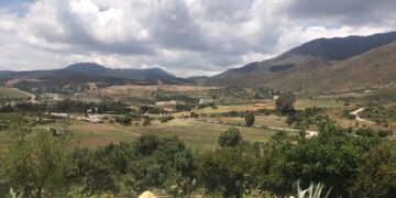 Piden dos años de cárcel para una mujer por quemar más de 500 hectáreas en Estepona