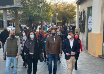 El PSOE destaca la apuesta del Gobierno de Pedro Sánchez por Marbella y San Pedro Alcántara