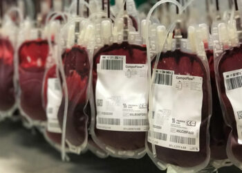 Récord histórico de donaciones en Andalucía