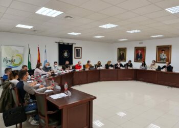 El pleno de Manilva ratifica las mejoras en limpieza y el nuevo instituto