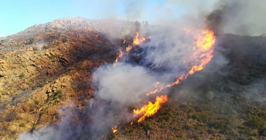 Controlado el incendio forestal declarado en Ojén