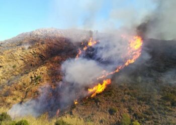 Controlado el incendio forestal declarado en Ojén