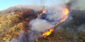 Declarado un incendio forestal en Ojén