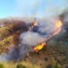 Declarado un incendio forestal en Ojén