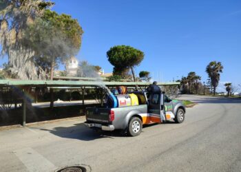 Manilva, a la carga contra la procesionaria