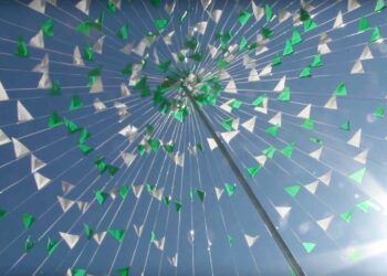 Casares recupera sus eventos habituales con la fiesta del Día de Andalucía y el Carnaval