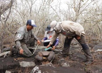 «Las mujeres han estado siempre presentes en la ciencia pero no tienen el reconocimiento que se merecen»