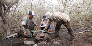 «Las mujeres han estado siempre presentes en la ciencia pero no tienen el reconocimiento que se merecen»