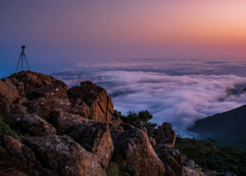 La biodiversidad de Sierra Bermeja al detalle: exposición fotográfica en Casares