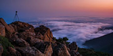 La biodiversidad de Sierra Bermeja al detalle: exposición fotográfica en Casares
