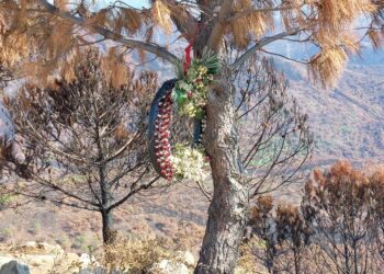 Cinco meses después la Guardia Civil aún busca a los culpables del incendio en Sierra Bermeja