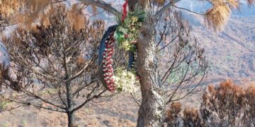 Cinco meses después la Guardia Civil aún busca a los culpables del incendio en Sierra Bermeja