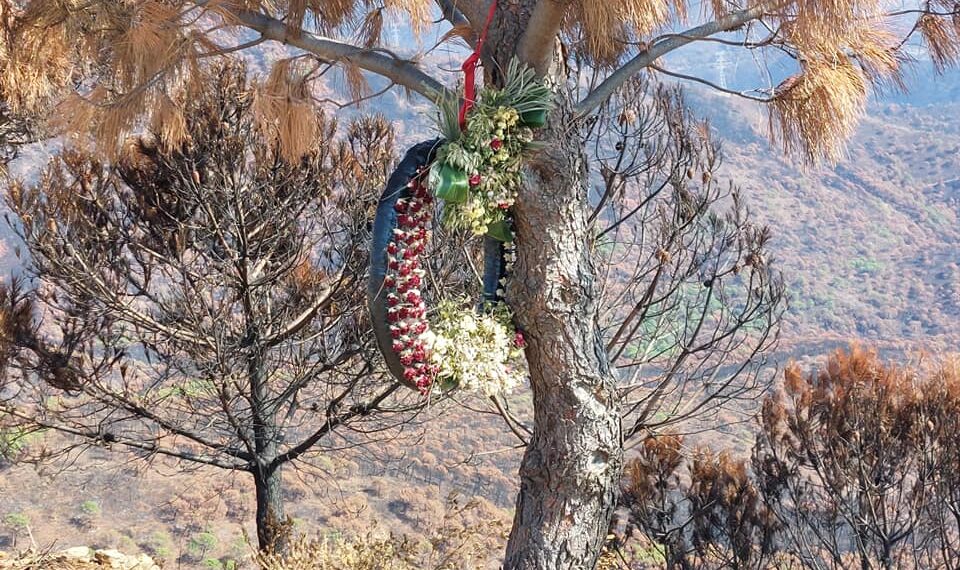 Cinco meses después la Guardia Civil aún busca a los culpables del incendio en Sierra Bermeja