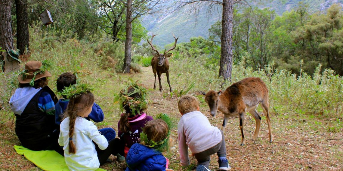 La Junta de Andalucía ordena el cierre inmediato de la Eco Reserva de Ojén