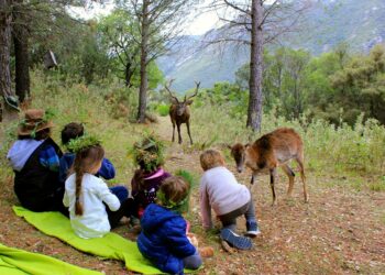 La Junta de Andalucía ordena el cierre inmediato de la Eco Reserva de Ojén