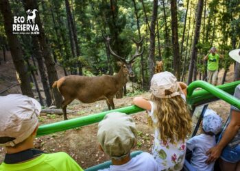 Más de un millar de personas firma contra el cierre de la Eco Reserva de Ojén
