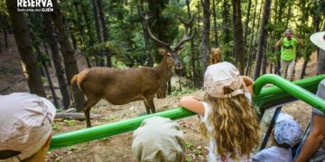 Más de un millar de personas firma contra el cierre de la Eco Reserva de Ojén