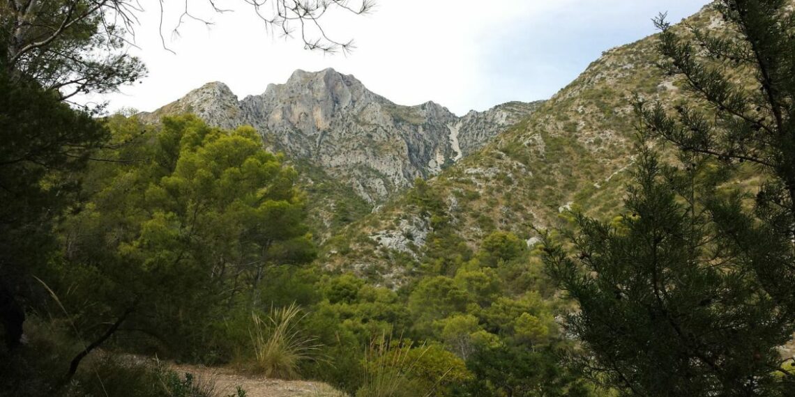 Bomberos de Marbella rescatan a doce estudiantes en la zona de la Mina de Buenavista