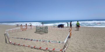 Paralizan la construcción de un chiringuito en la playa donde nacieron las tortugas bobas