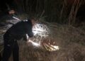 Policías locales de Estepona salvan la vida a un joven tras caer a un pozo cubierto de agua