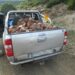 Denunciadas tres personas por cortar ilegalmente 48 cepas de brezo en la Sierra de las Nieves