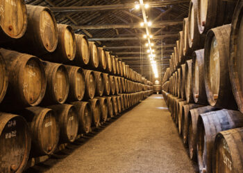 Abierta la inscripción al curso de Elaboración de vinos y licores en Manilva hasta el próximo 22 de febrero