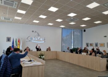 Casares aprueba un presupuesto de 15,5 millones en gastos y unos ingresos que superan los 16 millones