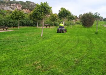 Mejoras en las zonas verdes de Casares Costa