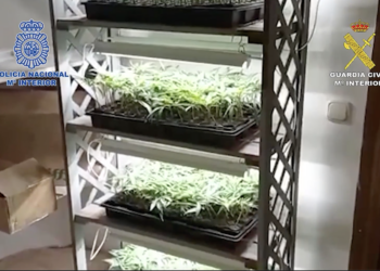 Desarticulada una organización criminal dedicada al tráfico de drogas en la provincia de Málaga