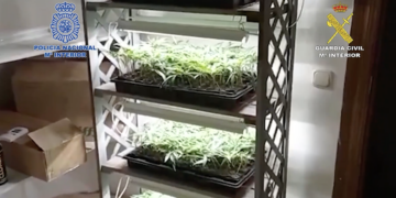 Desarticulada una organización criminal dedicada al tráfico de drogas en la provincia de Málaga