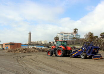 Estepona intensifica la limpieza en las playas tras retirar más de 2.200 metros cúbicos de cañas