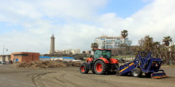 Estepona intensifica la limpieza en las playas tras retirar más de 2.200 metros cúbicos de cañas