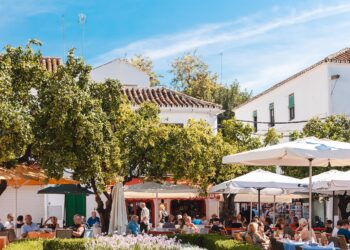 Unidas Podemos critica la política de “despilfarro” en flores y “obras innecesarias” de Ángeles Muñoz