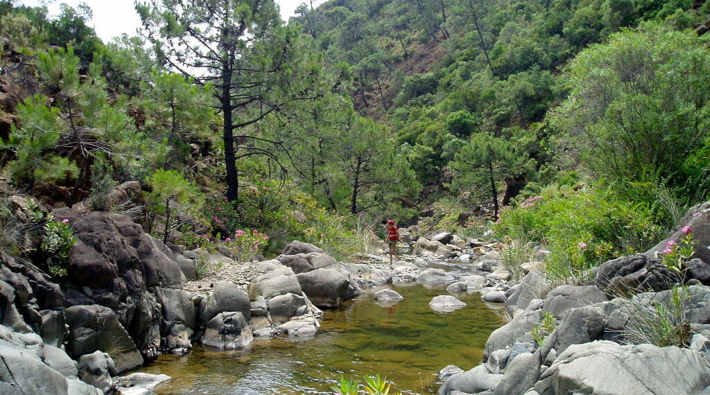 Encuentran el cadáver de un hombre en el río Padrón en Estepona