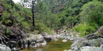 Encuentran el cadáver de un hombre en el río Padrón en Estepona