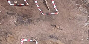 Salen a la luz varios restos humanos ocultos bajo el Hotel El Fuerte de Marbella