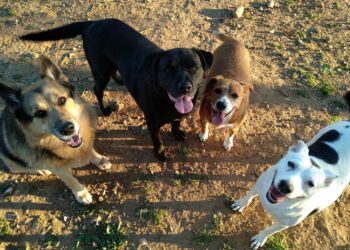 A punto de comenzar las obras para construir el nuevo refugio de la Triple A