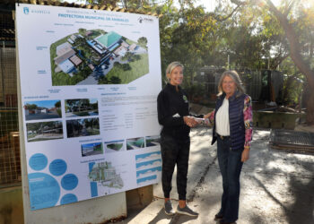 Comienzan las obras de modernización de las instalaciones de Triple A