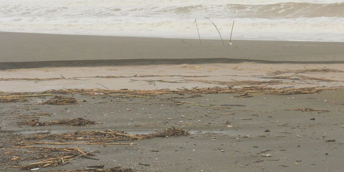 Así han quedado tras el temporal las playas de Casares y Manilva