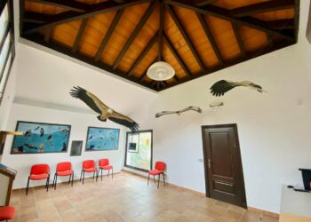 Reabre el Centro de Recepción de Visitantes de Casares