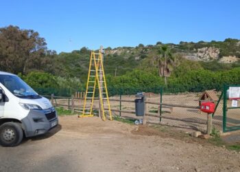 La zona del parque de perros de Los Alegres ya cuenta con alumbrado público