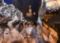 Consulta la programación de la Semana Santa 2022 en tu municipio