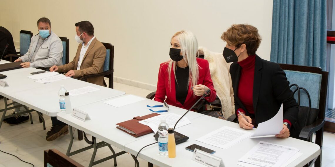 El PSOE de Estepona solicita una reunión con Salado para tratar el tema de la peatonalización