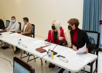 El PSOE de Estepona solicita una reunión con Salado para tratar el tema de la peatonalización